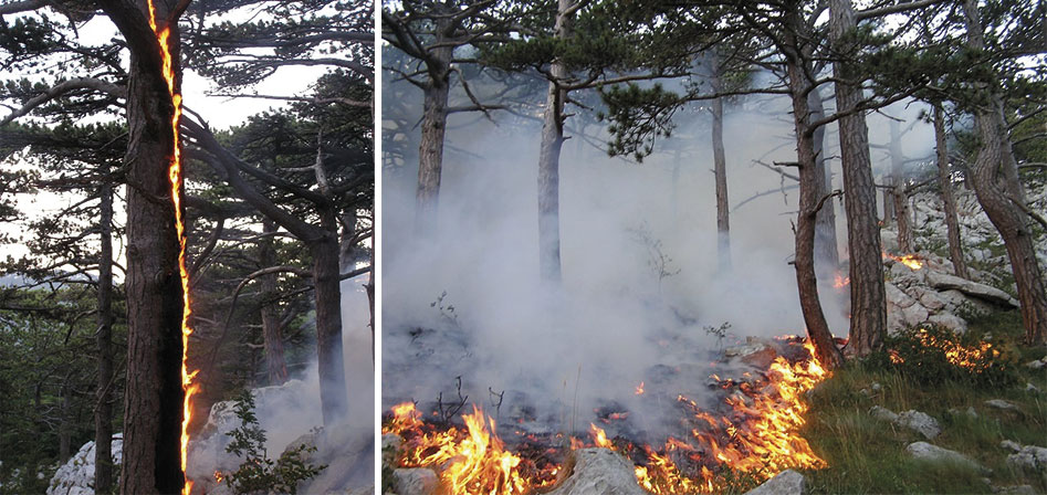 Prirodni Požari u RH