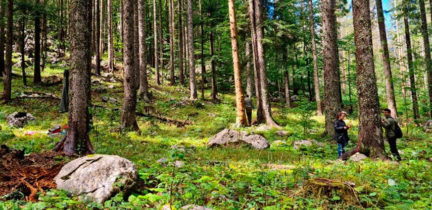 Uzimanje uzoraka u NP Sjeverni Velebit-Škrbine drage