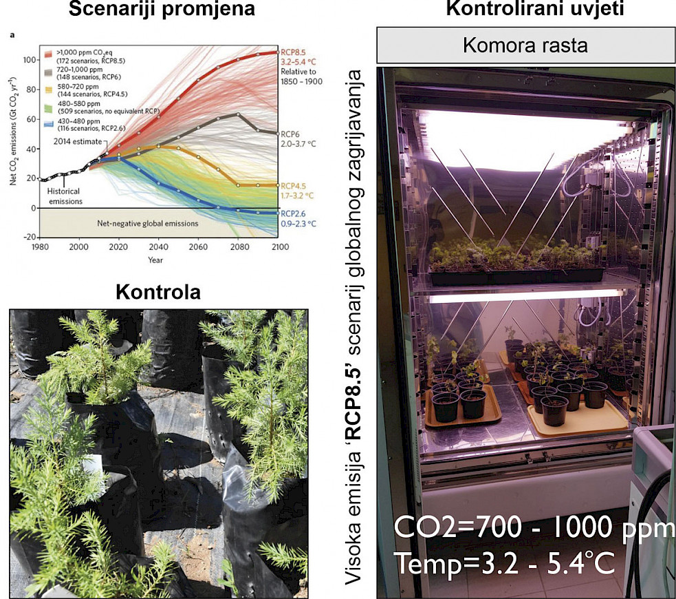 Simulacija klimatskih promjena u komori rasta