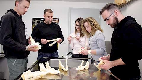 Laboratorij za zoologiju i šumarstvo