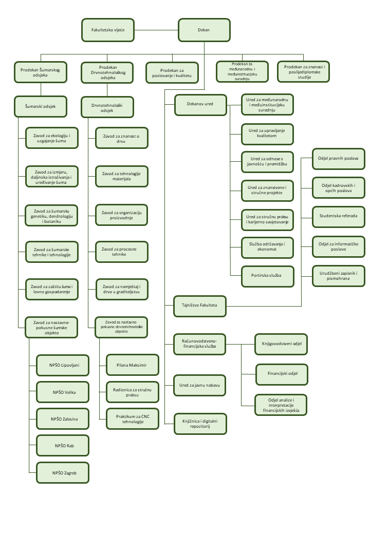 organizacijska_shema-2.png