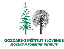 image-1.png