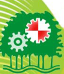 image-8.png