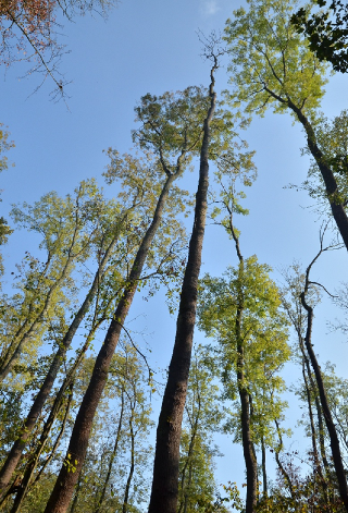 image-2_1.png