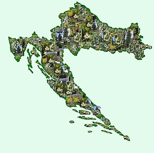 umsko drvee i grmlje Hrvatske